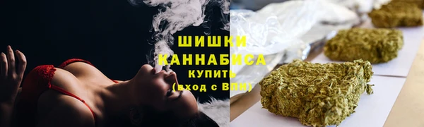 хмурый Белокуриха
