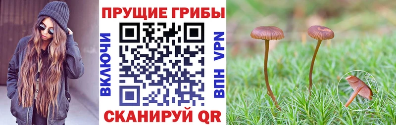 Галлюциногенные грибы Magic Shrooms  купить наркотики цена  Донецк 